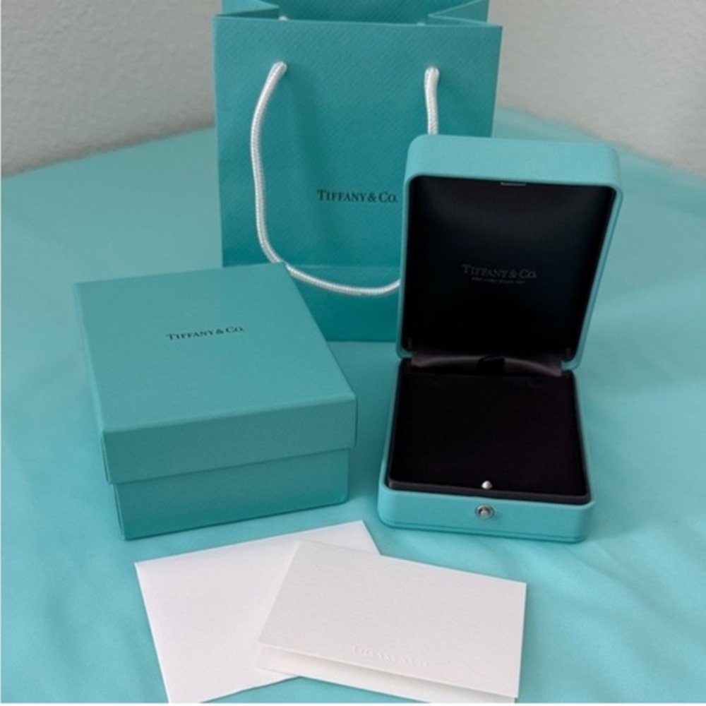 Tiffany & Co. Luxury Leather Necklace Display Gift Set - No jewelry included